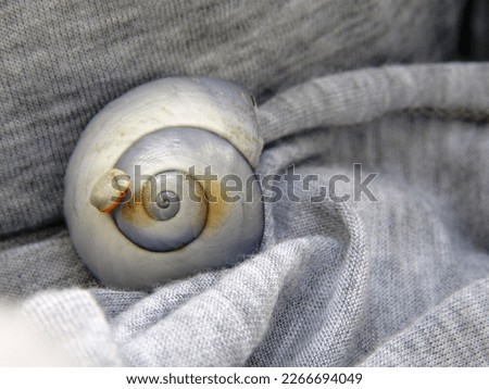 Shell on Shell on Sweater