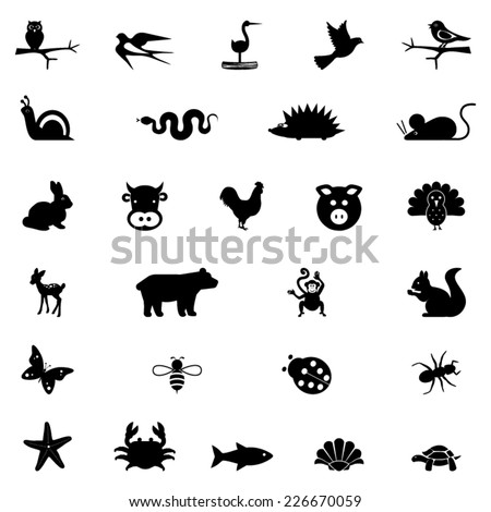 Illustrations of animals