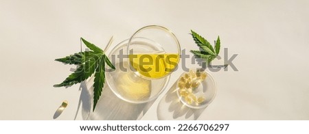 Hemp leaves, CBD oil and cannabidiol capsules, natural cosmetic background Royalty-Free Stock Photo #2266706297