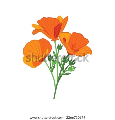 California Poppy, California Poppy Vector, Poppy Flower, Poppies Vector, Pretty Flower Vector, Golden Poppies, Vector Illustration Background Royalty-Free Stock Photo #2266710679