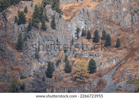 wallpaper autumn landscape mountain altai, freedom romantic trip