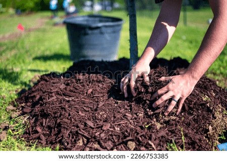 Reforestation by planting trees is one way to overcome the environment, so that the environment returns to be beautiful and healthy without any pollution and avoid floods. Royalty-Free Stock Photo #2266753385