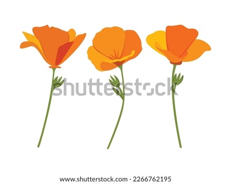California Poppy, California Poppy Vector, Poppy Flower, Poppies Vector, Pretty Flower Vector, Golden Poppies, Vector Illustration Background Royalty-Free Stock Photo #2266762195