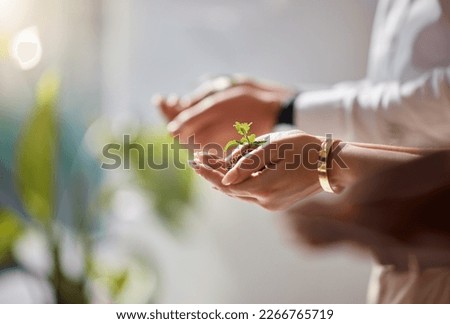Plants in group hands for business growth, eco friendly development and sustainability in green startup project. People palm closeup with sapling soil for sustainable investment and climate change Royalty-Free Stock Photo #2266765719