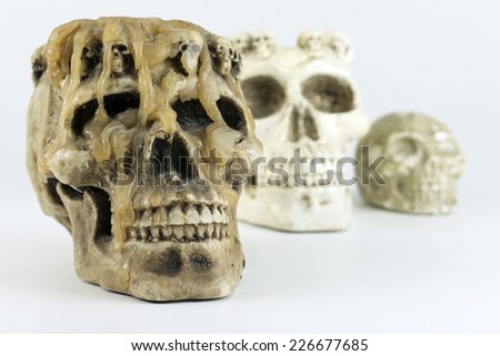Father, mother and child skulls sorted states.