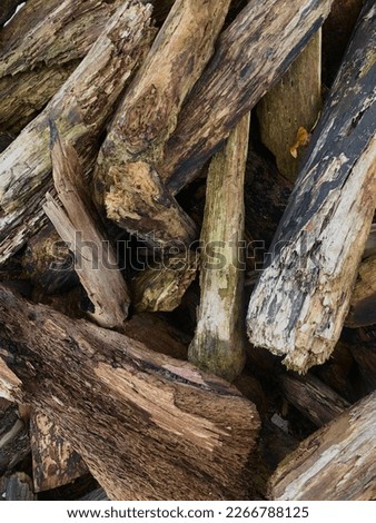 a pile of rotting wood
