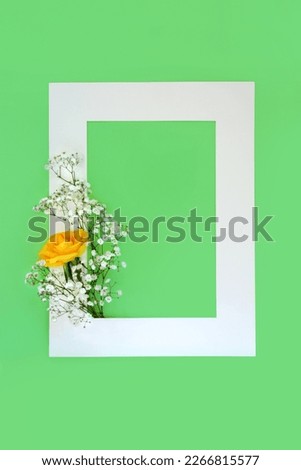 Floral spring abstract background border with rose and gypsophila flowers on green with white frame. Composition for in memorium order of service, greetings card, menu, gift tag, label. Top view, copy