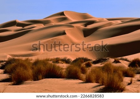 SAND DUNES AND DESERT LANDSCAPE IN THE SAHARA REGION IN ALGERIA Royalty-Free Stock Photo #2266828583