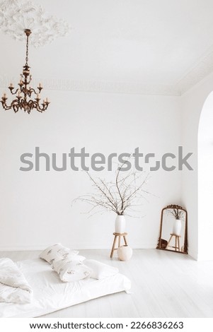 A white room in a classic design with a vintage chandelier bed and a beautiful spring blossom tree.