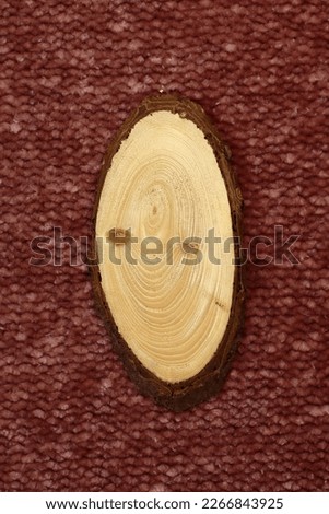 Big tree trunk slice cut from the woods. Textured surface with rings and cracks on red knitted texture