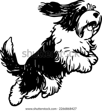 Bearded Collie, dog jump and happy, vector illustration, black color, vector image