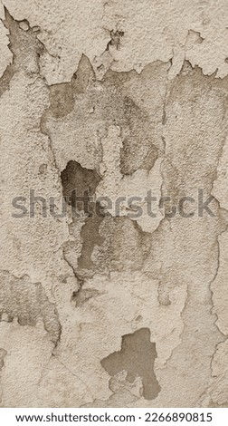 Photo brown texture white background