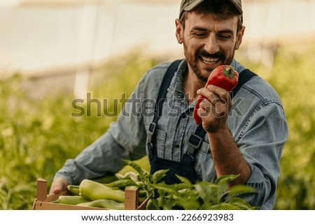 Cropped shot of a young farmer holding fresh pepper and enjoying his homegrown product on his farm. Royalty-Free Stock Photo #2266923983