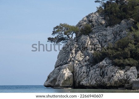 A huge rock hanging over the sea and a tree in the rock