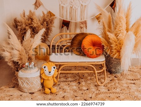 boho style set up for a toddler baby in a photo studio for a photo session