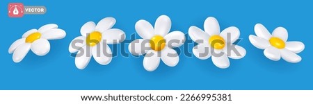 Set of daisy with white petals and yellow centre. Volumetric chamomile flowers, view from different angles. Isolated on blue background. Vector 3d realistic illustration