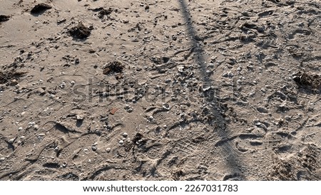 Pattern and marks on sand by human nearby ocean in a sunny day