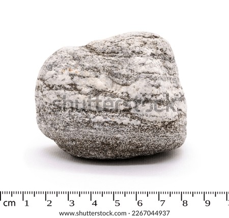 Gneiss metamorphic rock macro shot isolated on white background Royalty-Free Stock Photo #2267044937