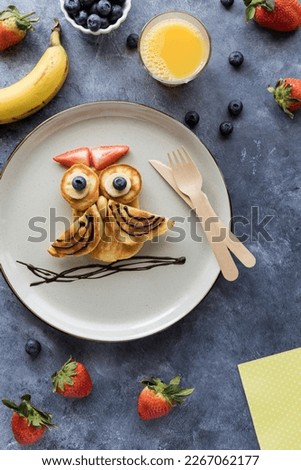 Homemade keto pancakes in the shape of an owl, served with fruit.