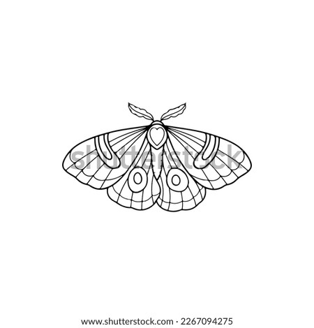 vector illustration of cute moth insect