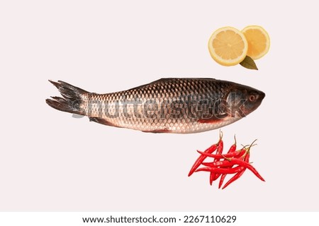 Fresh fish with lemon and chili pepper isolated on white background