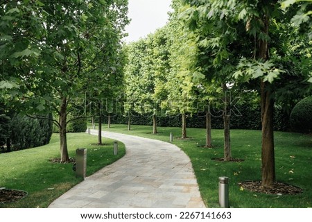 Stone path in the park among trees and bushes Royalty-Free Stock Photo #2267141663