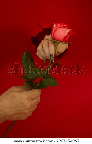 Man giving a red rose to a woman. Red background with a hole. 
