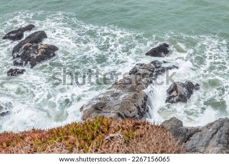 California Pacific coast rocky shore, in San Francisco Bay