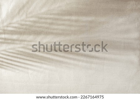 Minimalist aesthetic natural background with tropical palm leaves sunlight shadow on a neutral beige textile, copy space Royalty-Free Stock Photo #2267164975