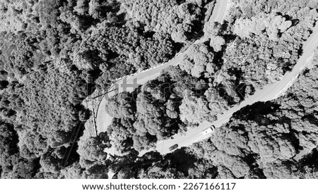 Downward aerial view of a beautful windy road across a forest.