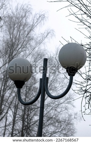 Street lamp on the background of tree branches in the fog