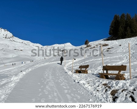 Excellently arranged and cleaned winter trails for walking, hiking, sports and recreation in the area of the Swiss tourist winter resort of Arosa - Canton of Grisons, Switzerland (Schweiz)