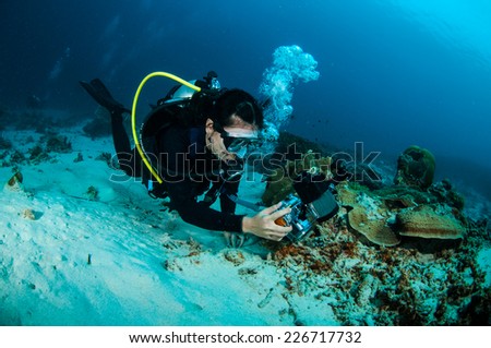 Diver in Gili, Lombok, Nusa Tenggara Barat, Indonesia underwater photo. Diver taking picture at coral reefs