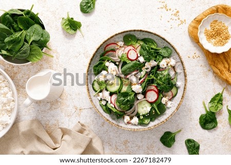 Spinach and cottage cheese fresh green vegetable salad with radish, cucumber and yogurt, healthy diet food, top view