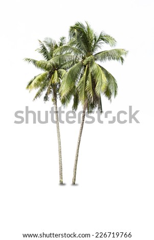coconut palm trees isolated  Royalty-Free Stock Photo #226719766