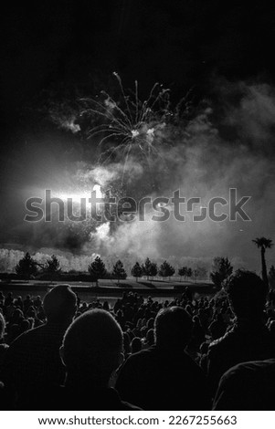 Striking photo of fireworks display in bustling urban park with joyful crowd. Bright colors against the night sky create a stunning visual. Captures the excitement and celebratory spirit