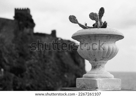 Film photography of Sicilian cactus in marble flower pot. Castle of Aci Castello, Sicily, Italy and the Mediterranean sea on the background