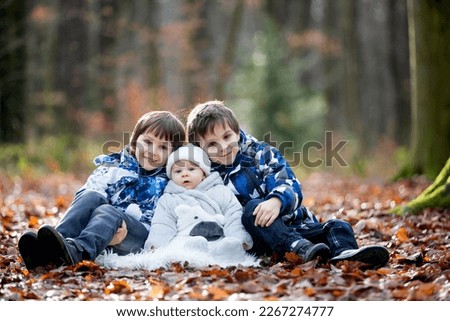 Portrait of three boys, brothers, in the forest, autumn winter time