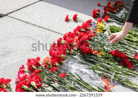 Red carnations were laid in honor of the fallen soldiers at the marble memorial. Symbol of victory ,Selective focus.A hand puts red carnations on a granite gravestone. Memory of the dead Royalty-Free Stock Photo #2267291559