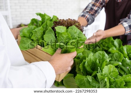 Close up Picture of Customer Buying Fresh Vegetables from Market