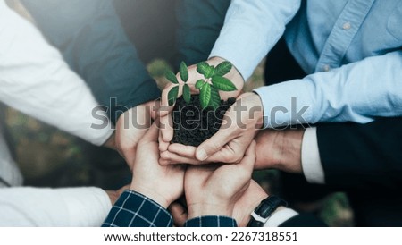 Teamwork and cooperation to conserve the green business forest of growing with plants in the hands of an eco-friendly group or team. Collaboration in green business Royalty-Free Stock Photo #2267318551