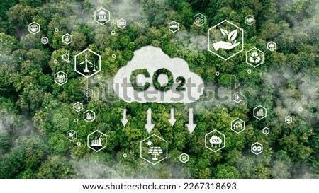 icon reduce CO2 emission concept on the top view of the forest for environmental, Sustainable development, and green business based on renewable energy limit climate change and global warming. Royalty-Free Stock Photo #2267318693