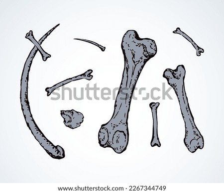 Aged large man arm limb part bony object. Close up historic healthy retro big museum artifact. Freehand line black ink drawn sign icon in antique art cartoon doodle engrave style pen on white paper
