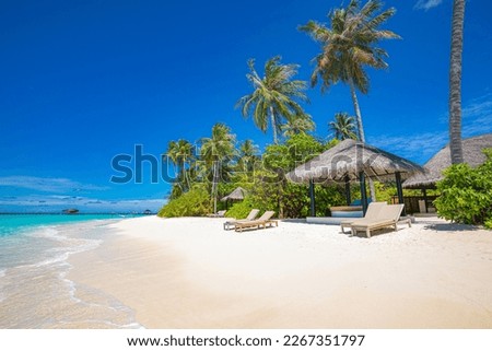 Paradise island beach. Tropical landscape of sunny summer scene, sea sand sky palm trees. Luxury travel vacation destination. Exotic beach landscape. Amazing nature, relax, freedom tranquil Maldives