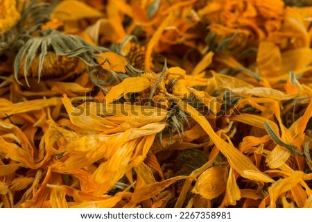 Calendula flowewr tea for infusion as a background