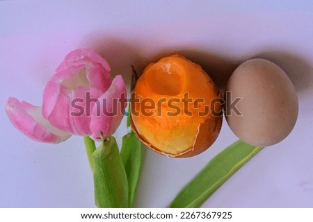 happy easter,the very pretty colorful easter egg close up,beautiful springtime