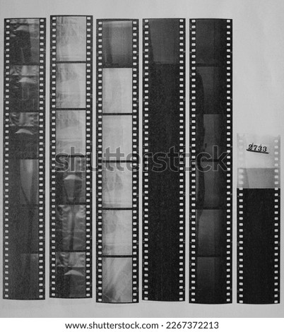  long blank 35mm black and white film strips printed on white copy paper with empty frames.