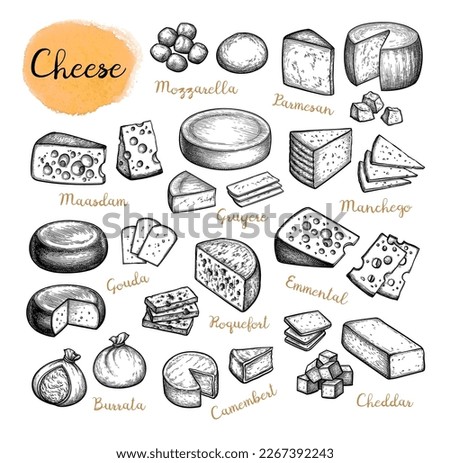 Cheese big collection. Set of ink sketches. Hand drawn vector illustration isolated on white background. Vintage style. Royalty-Free Stock Photo #2267392243