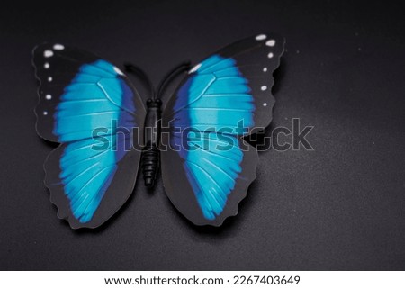 props colorful butterfly with colored background