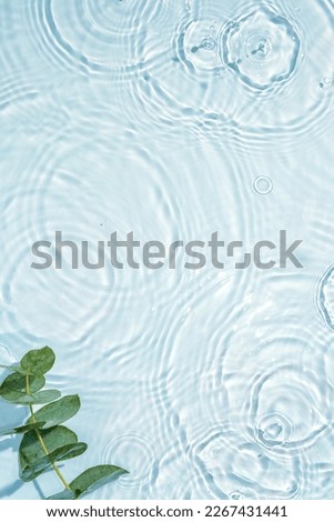 Blue water texture, surface with rings and ripples. Green leaves on water surface. Spa concept background. Flat lay, copy space.